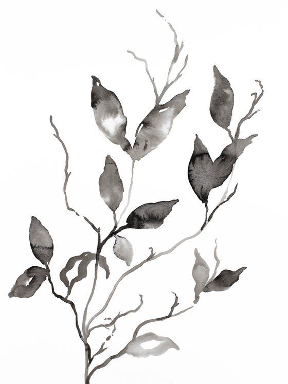 Plant Study No. 108