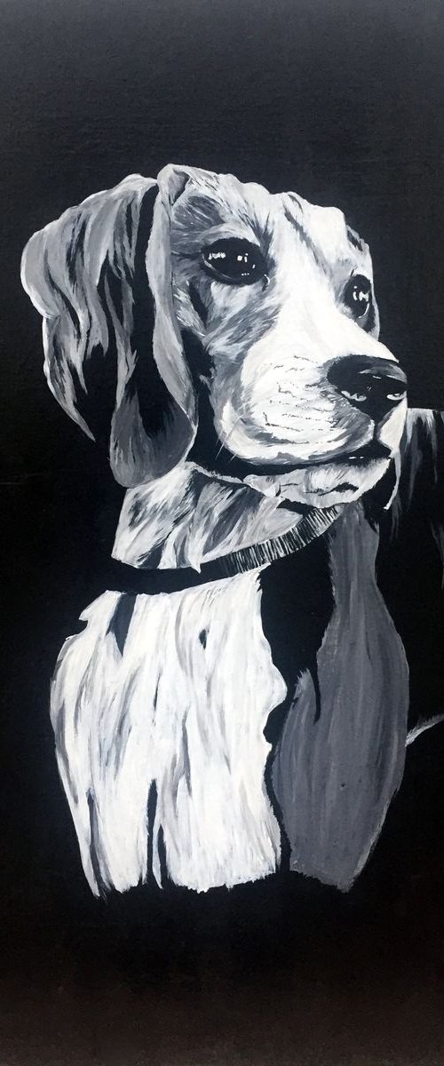 Taz by Dipti Janardhana