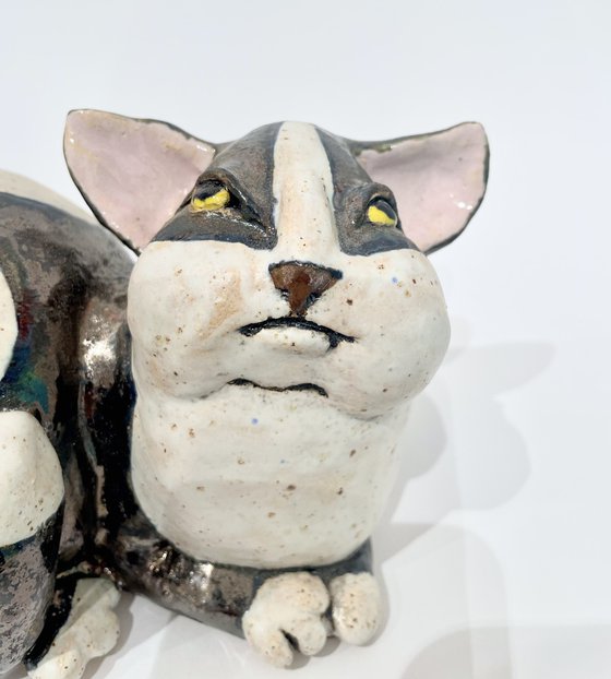 Whispers of Purrfect Peace