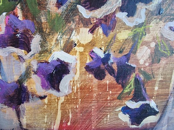Midnight Starry Petunias
