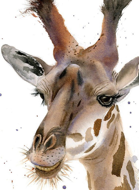 giraffe portrait