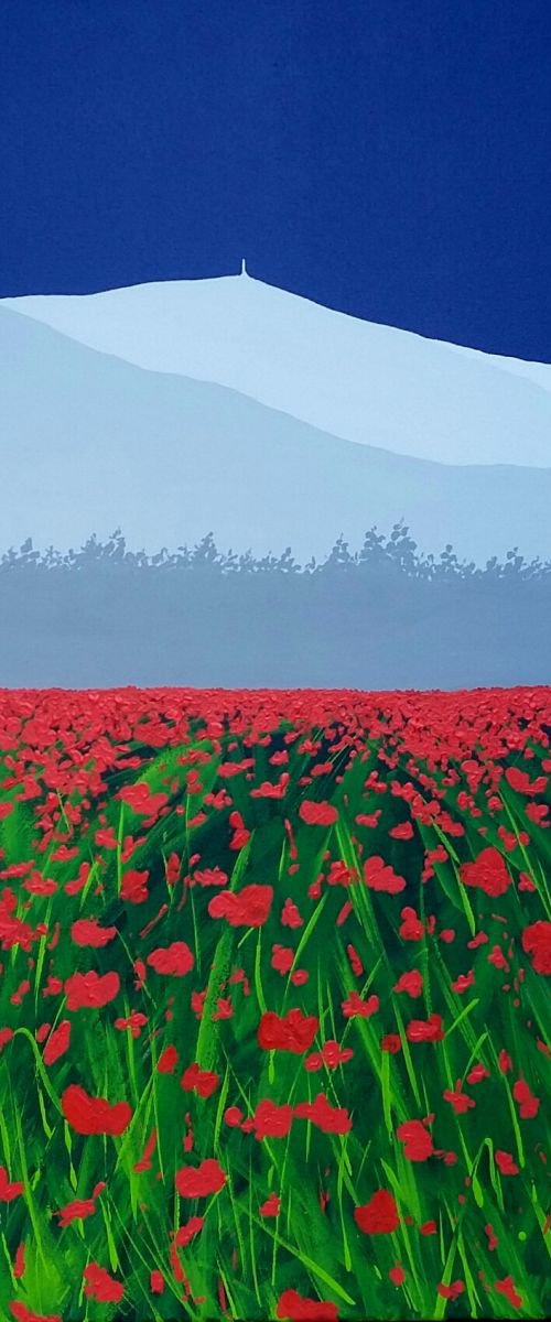Mont Ventoux, Provence, France by Sam Martin