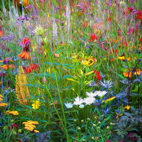 Floral Border by Martin  Fry