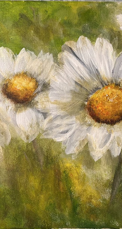 4 Daisies by Carolyn Shoemaker (Soma)