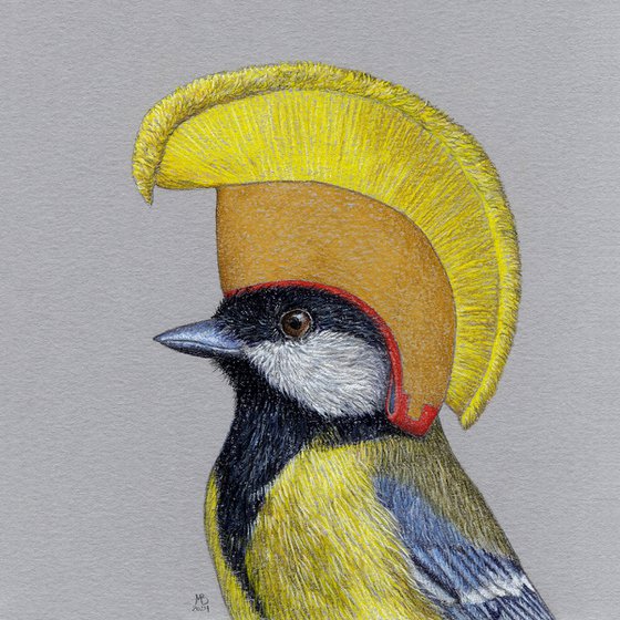 Great tit