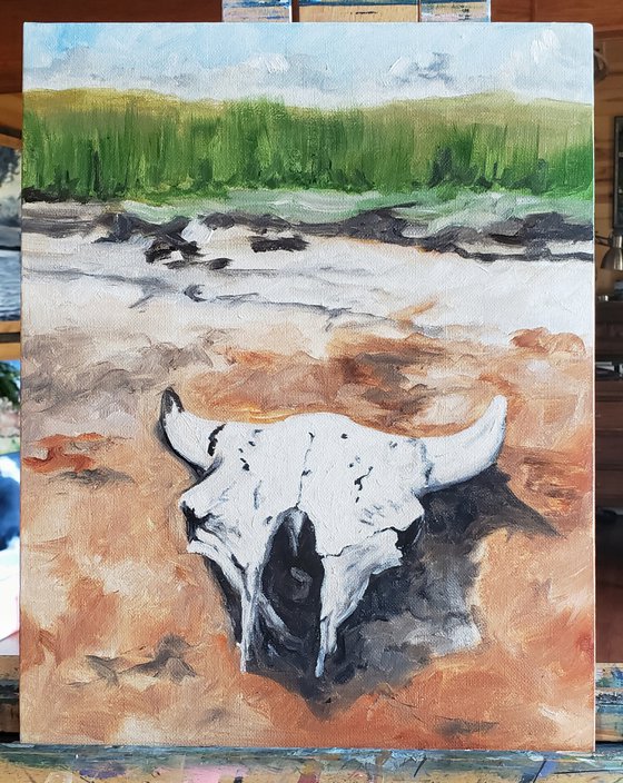 "Washichu" - Landscape - Buffalo - Skull