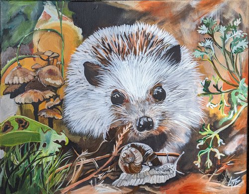 Hedgehog hunting snail. by Lotz Bezant