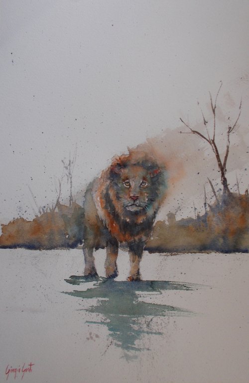 lion 4 by Giorgio Gosti