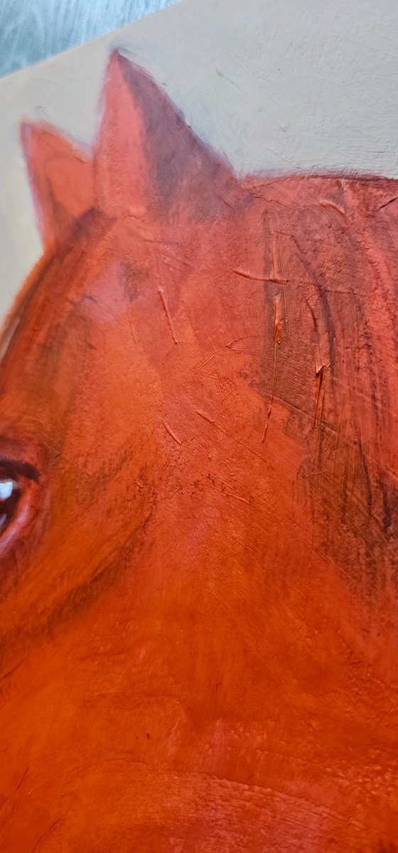 My orange chestnut horse portrait