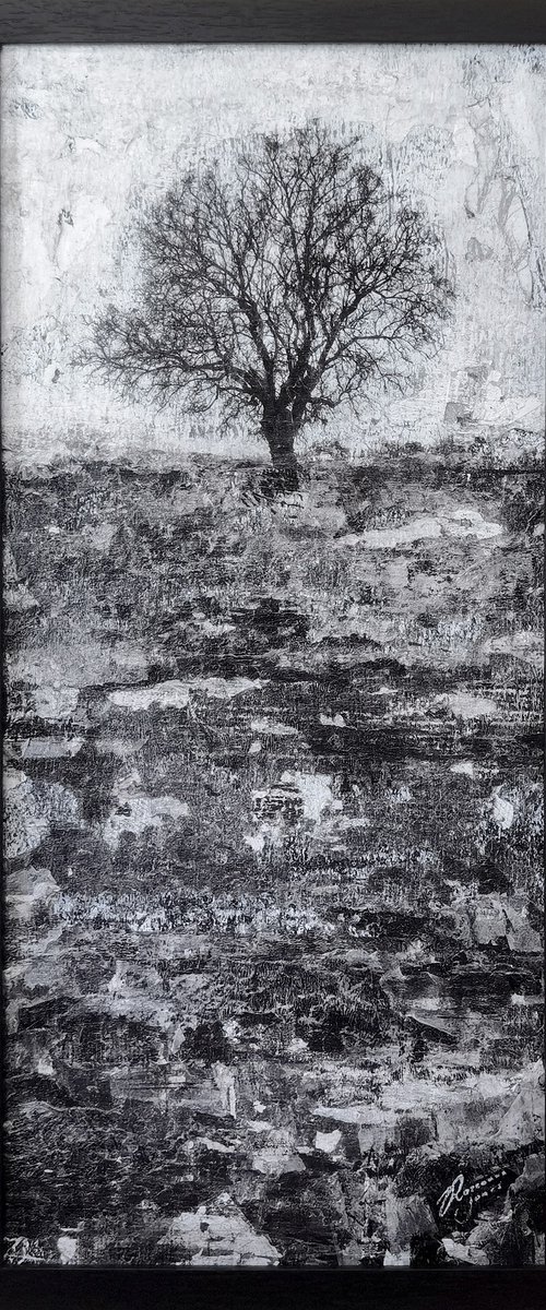 Frazzled by Roseanne Jones