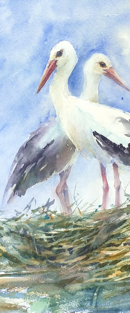 STORKS IN THE NEST 2020.025 original watercolour 41X31 by Beata van Wijngaarden