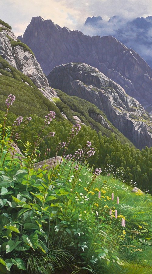 Summer in the mountains by Mlynarcik Emil
