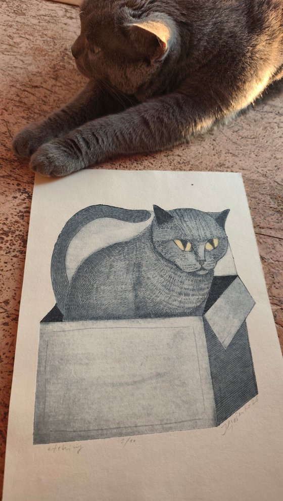 My Cat Theodor.