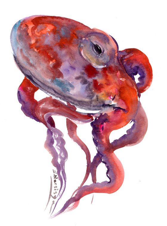 Octopus