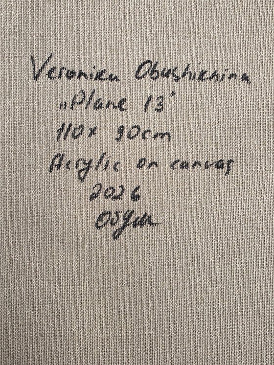 Plane 13