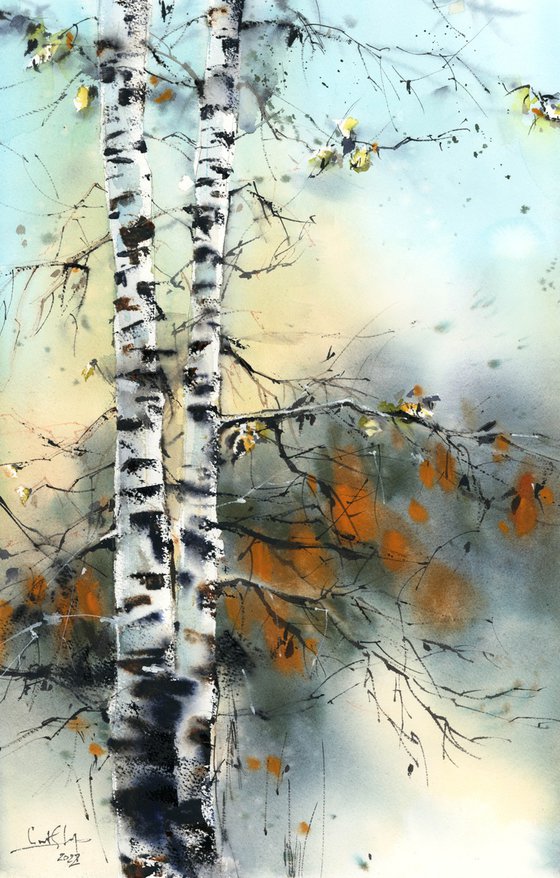 Birch Trees