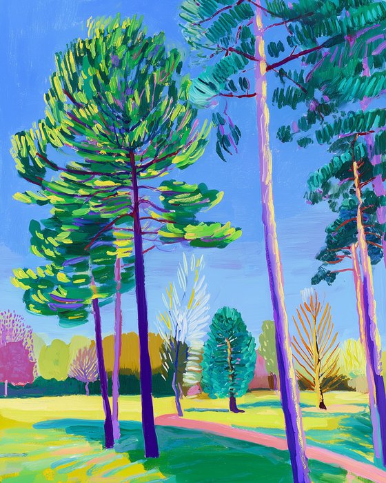 Sunlit Pines