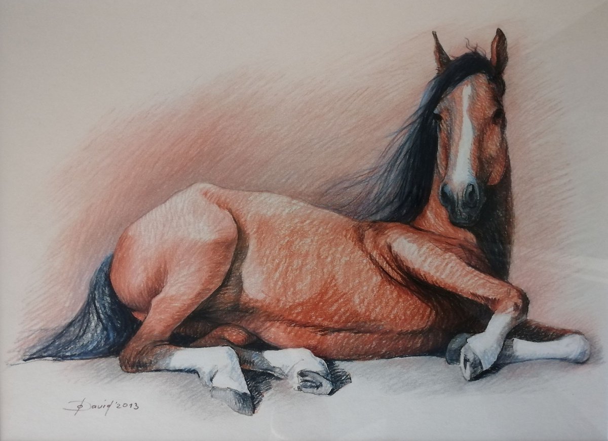 Animal Pastel Drawing By Olga David, 24 X 16", Lying Horse, Original Artwork