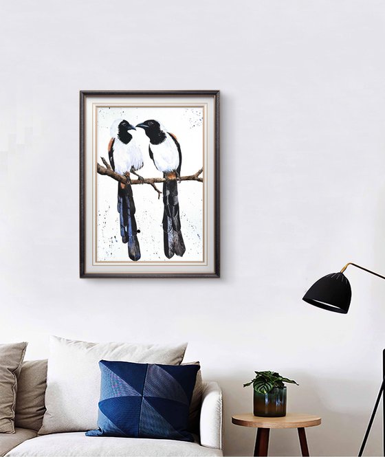 White-bellied Treepie Birds