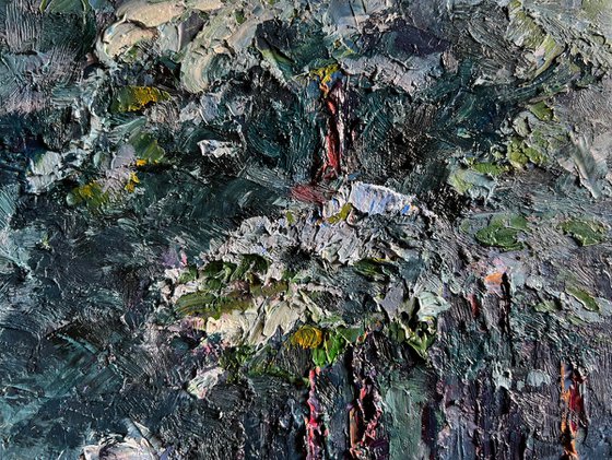 Winter Trail in the Forest