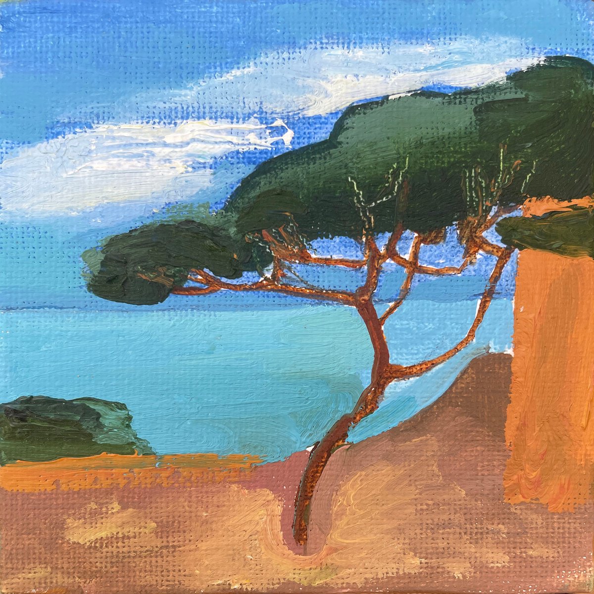 Pine Overlooking the Lake - 10x10 cm by Victoria Dael