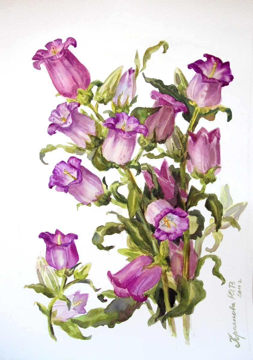 Photorealistic Botanical Watercolour By Yulia Krasnov, 11 X 16", Pink Bellflowers, Original Artwork