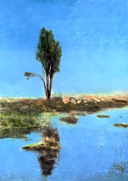 a Tree by Siniša Alujević