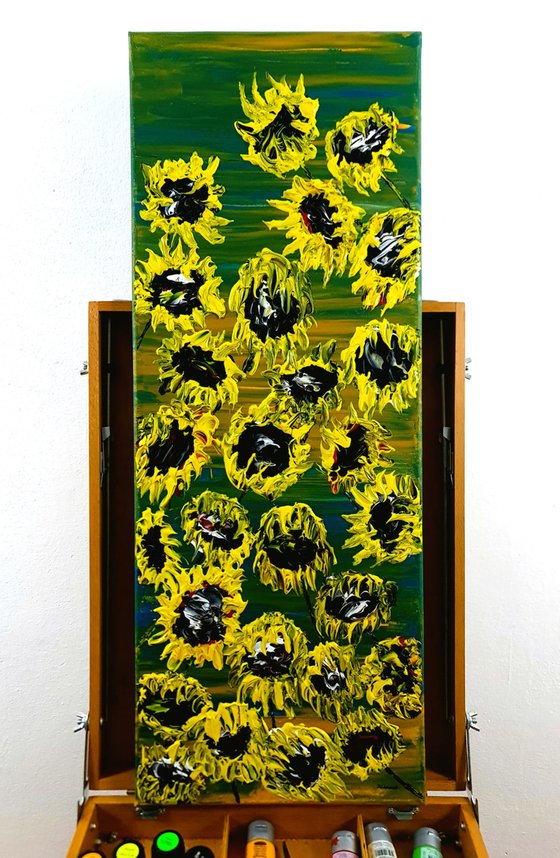 Blooming sunflowers 1