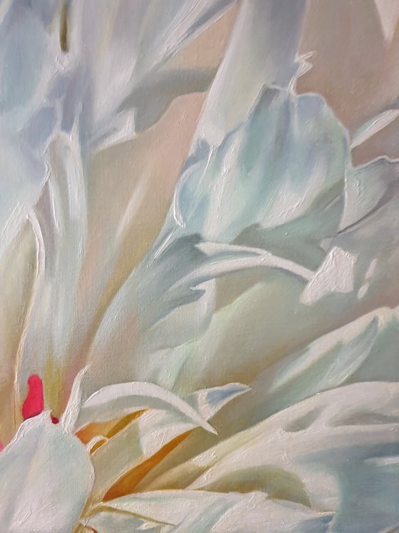 "Delicate petals. "   peonies flower 2021