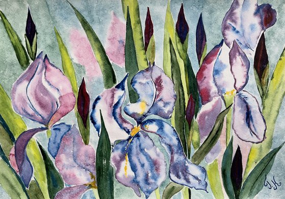 Irises Original Watercolor Art