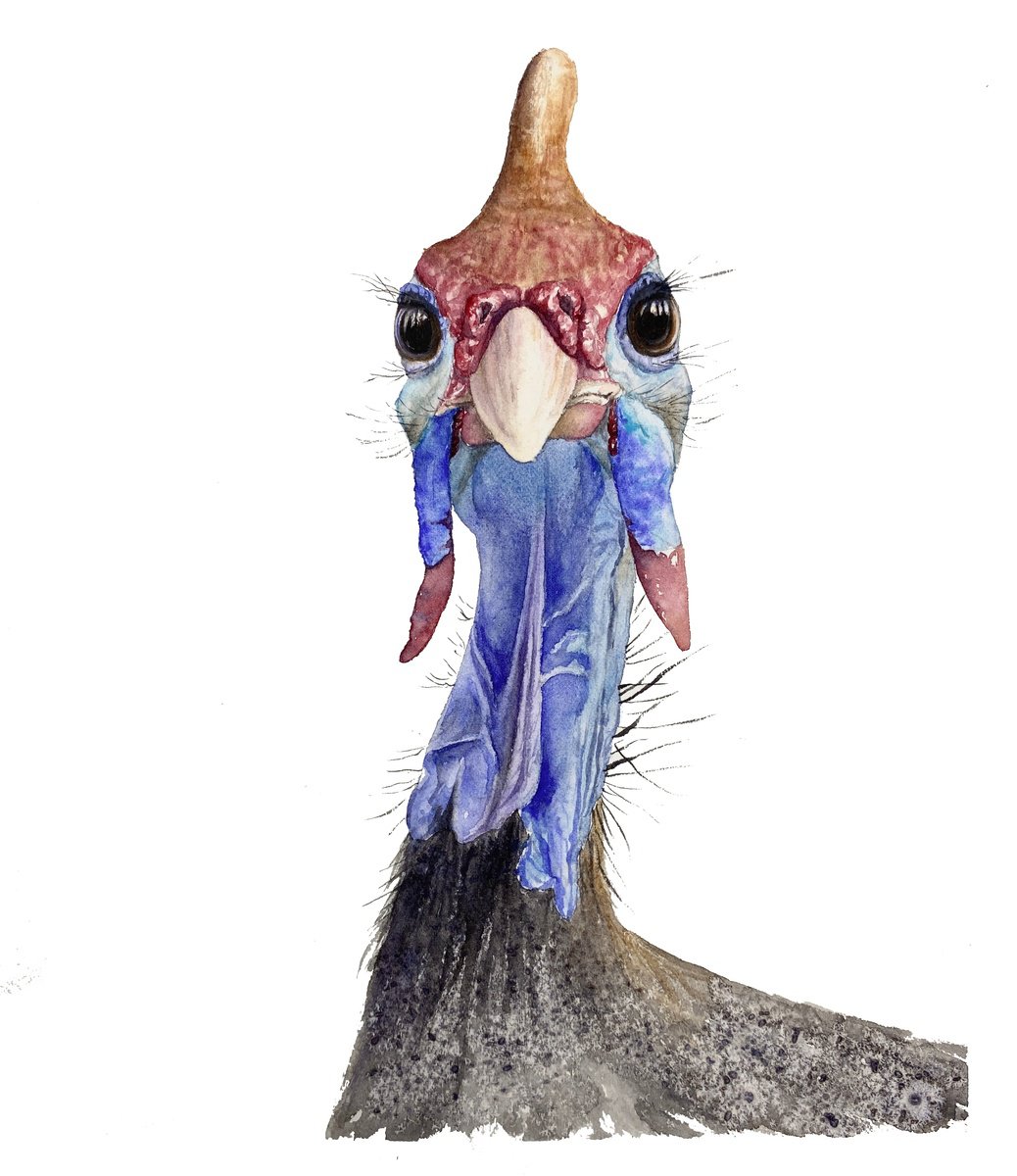 Impressionistic Animal Watercolour By Tetiana Savchenko, 8 X 10", Curious Stare Guinea Fowl, Original Artwork