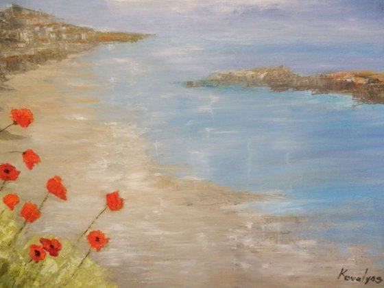 Poppies at the seashore