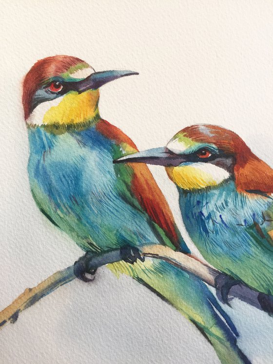 Bee-eats birds