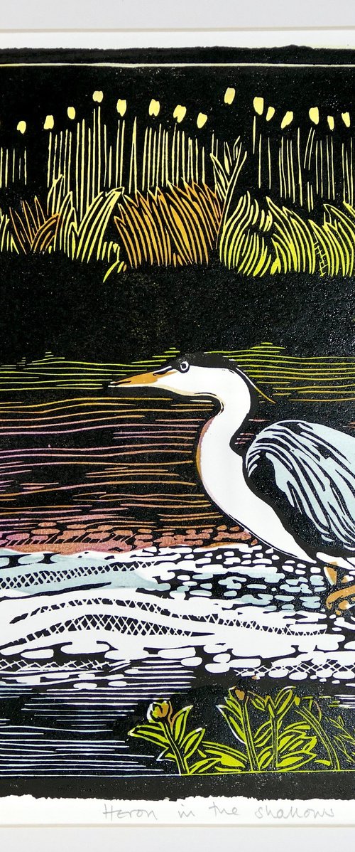 Heron in the shallows by Keith Alexander