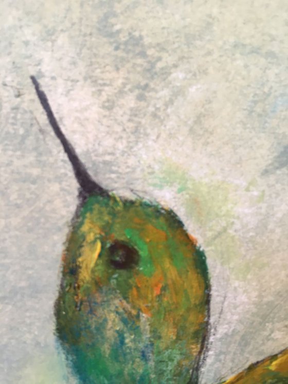 Study of hummingbird II