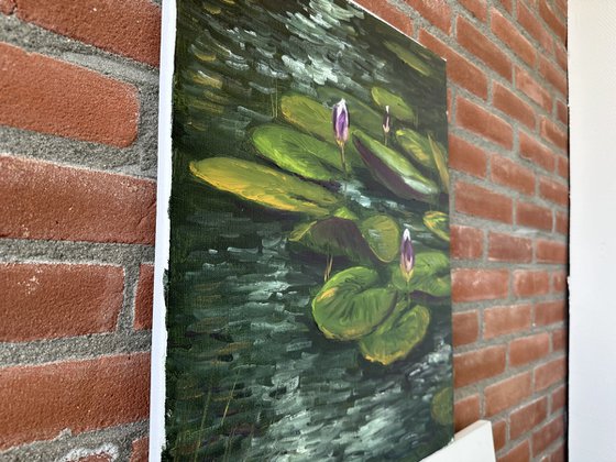 Water Lily Buds