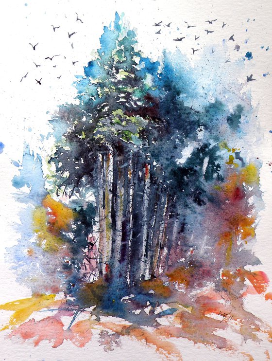 Forest with birds