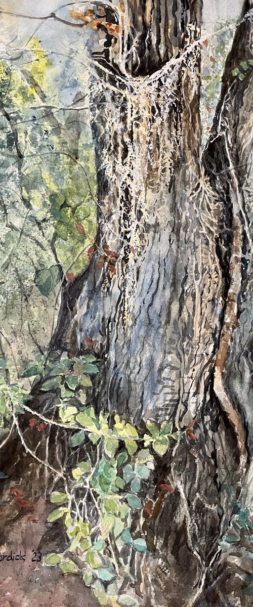 Tree by Yoshiko Murdick