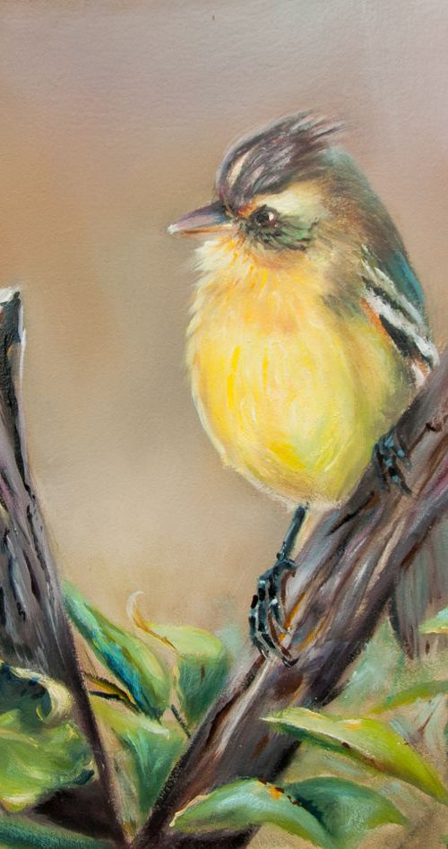 Yellow bird by Norma Beatriz Zaro