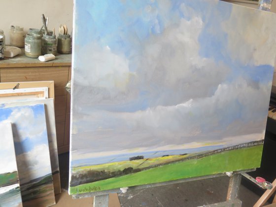 Yorkshire Wolds,  Jan 16