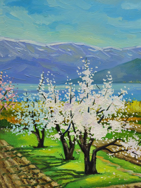 Spring day