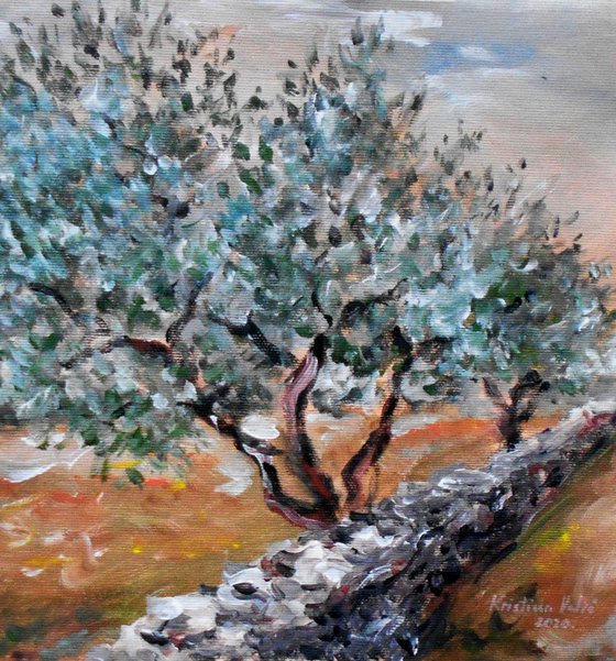 Olive trees