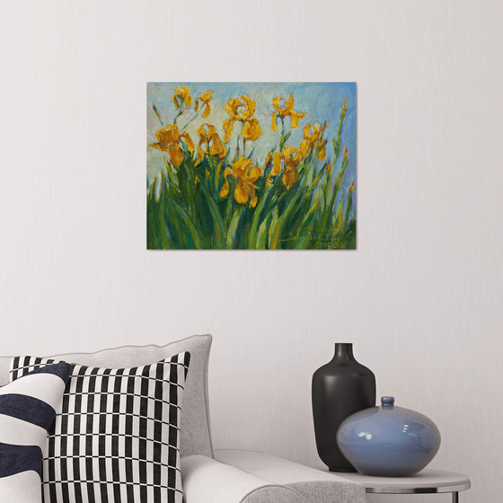 Wild yellow Irises 20×16in  50×40cm