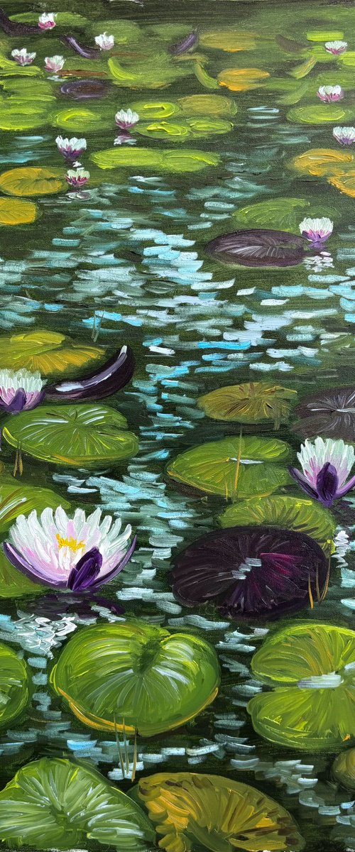 Water Lilies in the Sunlight by Dmitry Fedorov