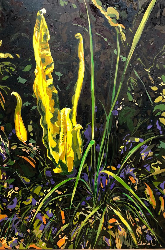 Hart's Fern