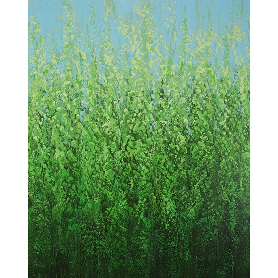 Nature's Green Field