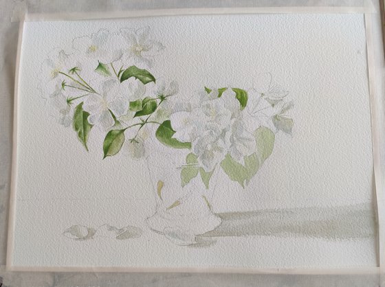 Apple tree blossom. Watercolor painting by Svetlana Vorobyeva