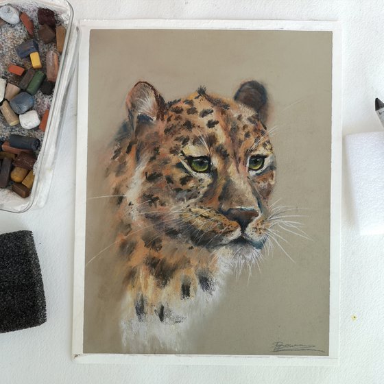 Leopard portrait  (pastel)