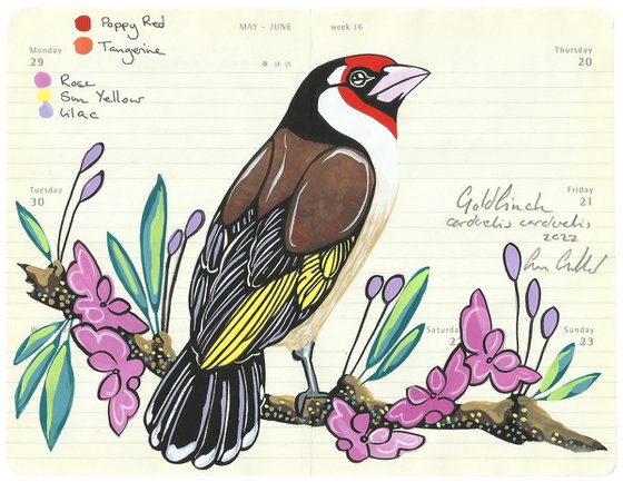 Birds of Europe: Goldfinch