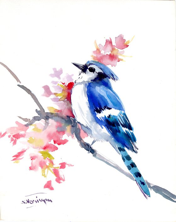 Blue Jay on a Branch